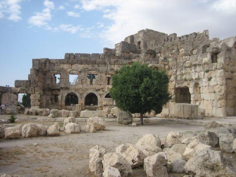 ruins-tree-cc-most-uncool.jpg