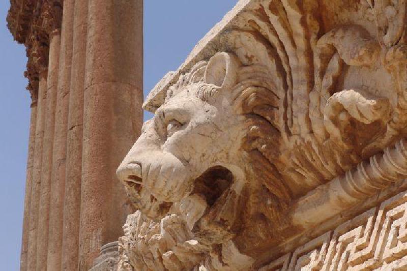 venus-lion-cc-charlesfred.jpg