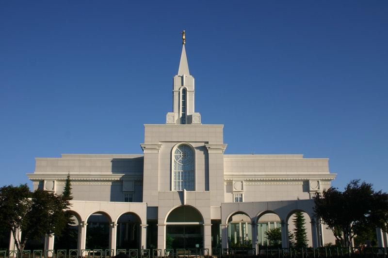 112937633-L.jpg