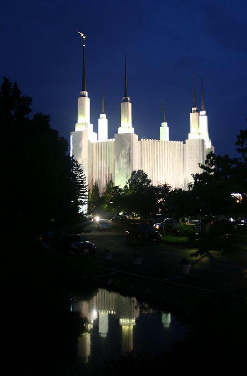 112944866-L.jpg