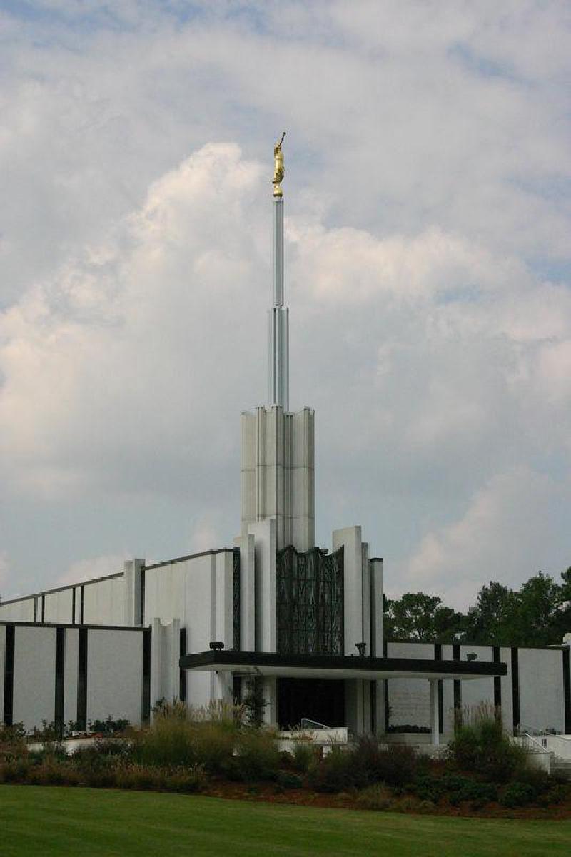 49438425-L.jpg