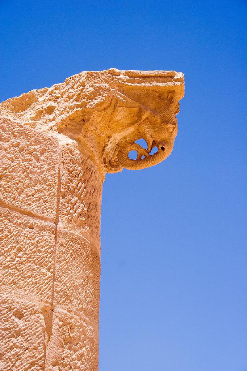 elephant-head-column-cc-Cybjorg.jpg