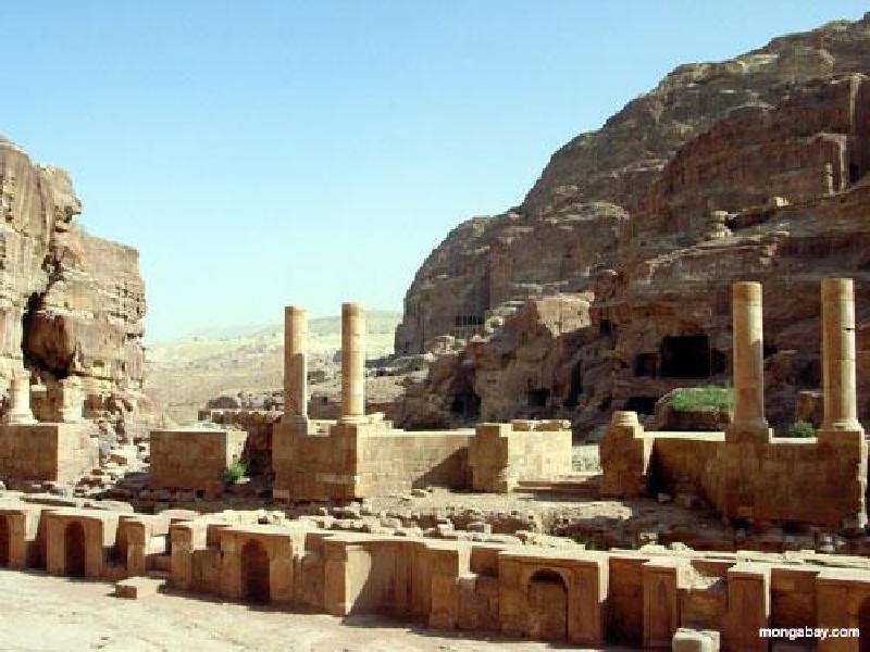 great-temple-maybe-c-mongabay.jpg