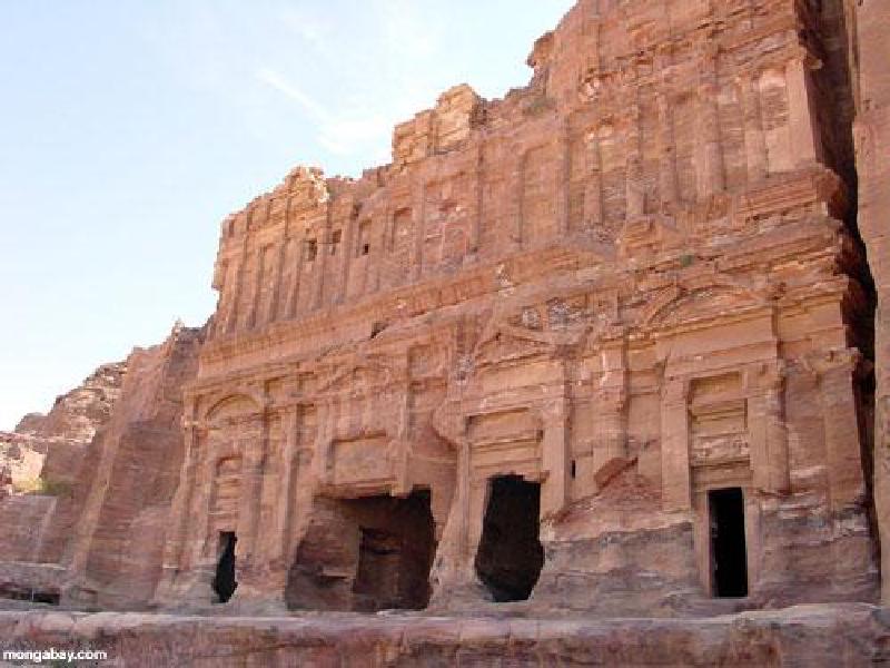 royal-tomb-c-mongabay.jpg