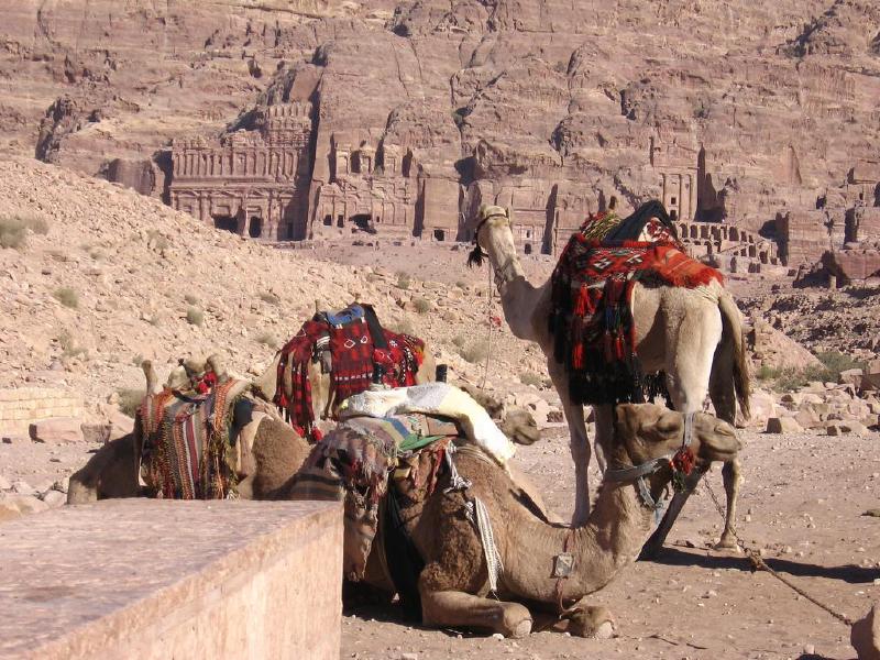 royal-tombs-camels-cc-alias65.jpg