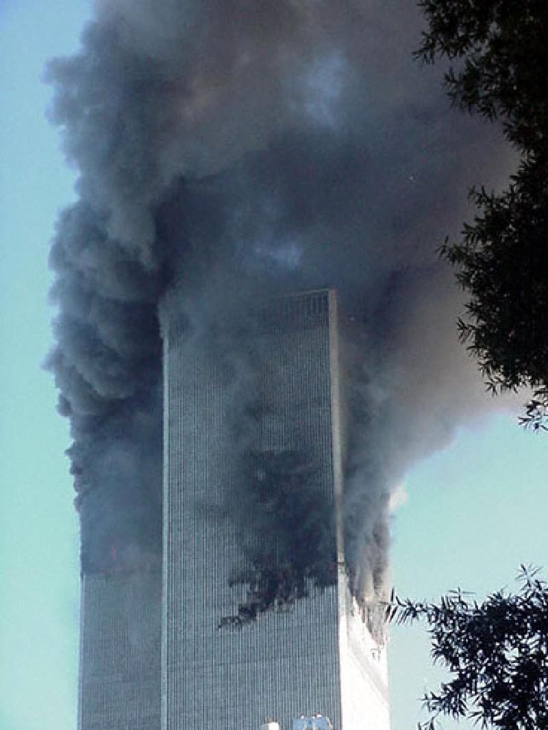 precollapse105.jpg