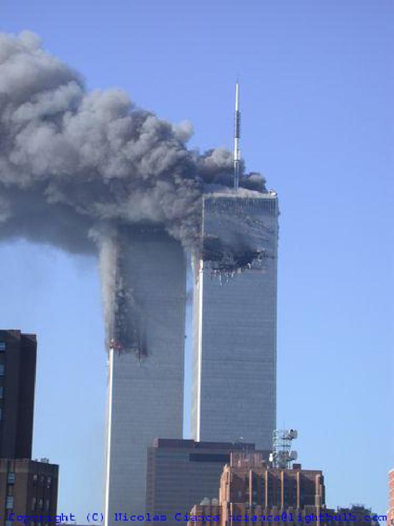precollapse768.jpg