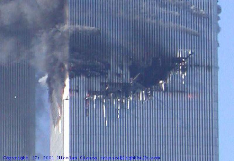 precollapse775.jpg